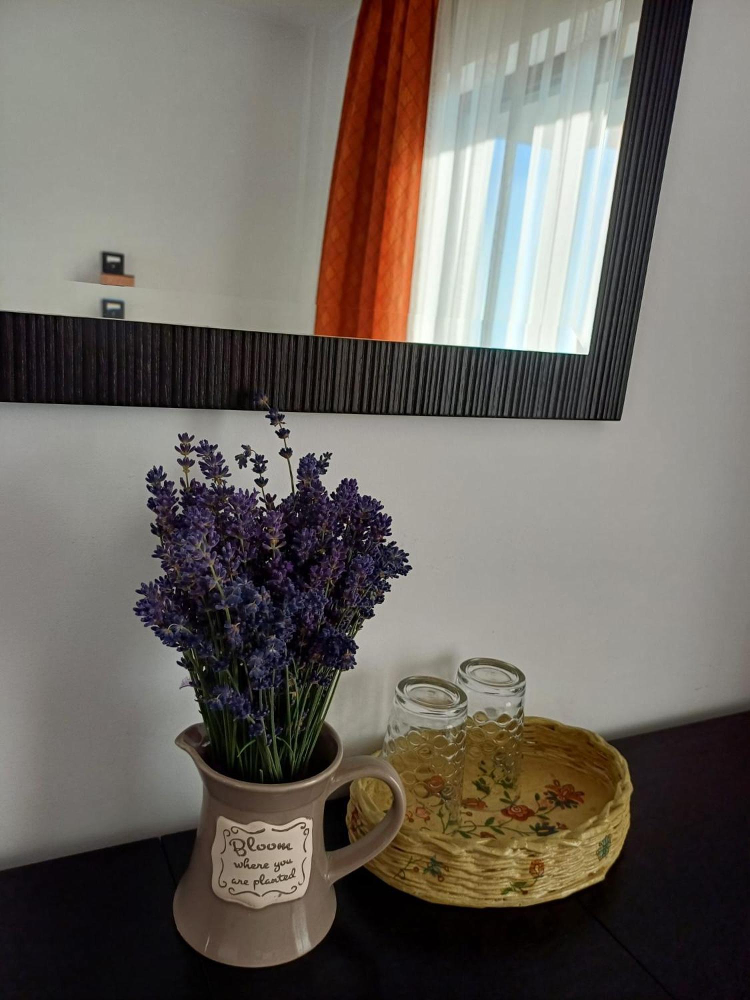 Dragomirna Sunset Hotel Mitocu Dragomirnei Bagian luar foto